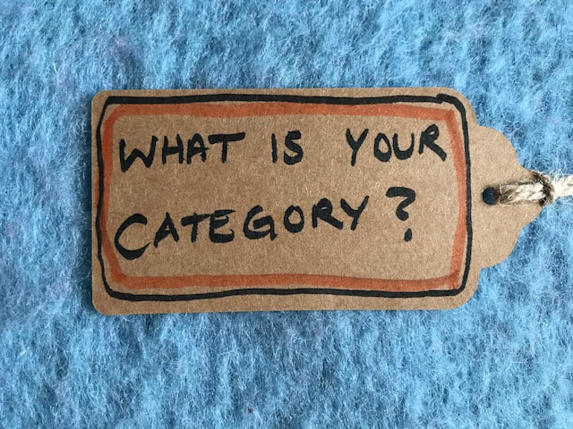 Image description -A brown parcel label placed on a pale blue felt background. The label reads - what is your category? and is outlined with a single black and red line. Artist Steph Fuller. 